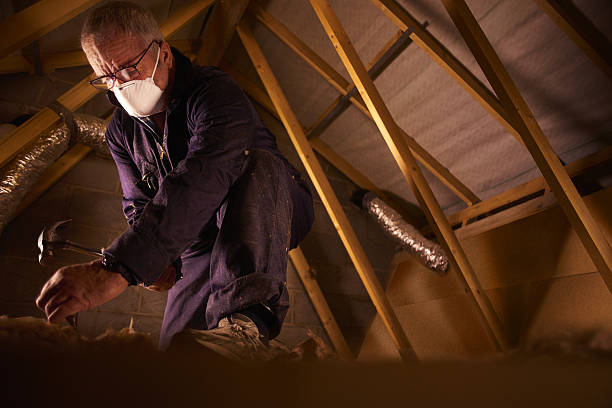 Best Cellulose Insulation  in Cumberland, KY